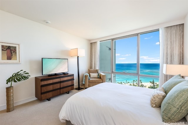 bedroom with light colored carpet