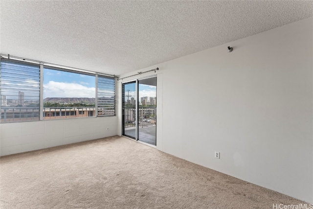 unfurnished room featuring carpet and a textured ceiling