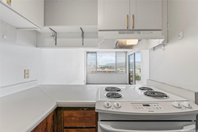 2542 Date St Unit 203, Honolulu, HI 96826 - kitchen featuring under cabinet range hood, white electric range oven, and light countertops
