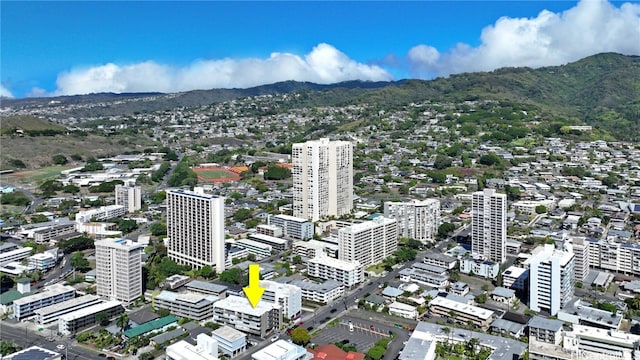 birds eye view of property featuring a mountain view