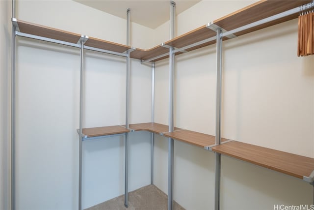 view of spacious closet