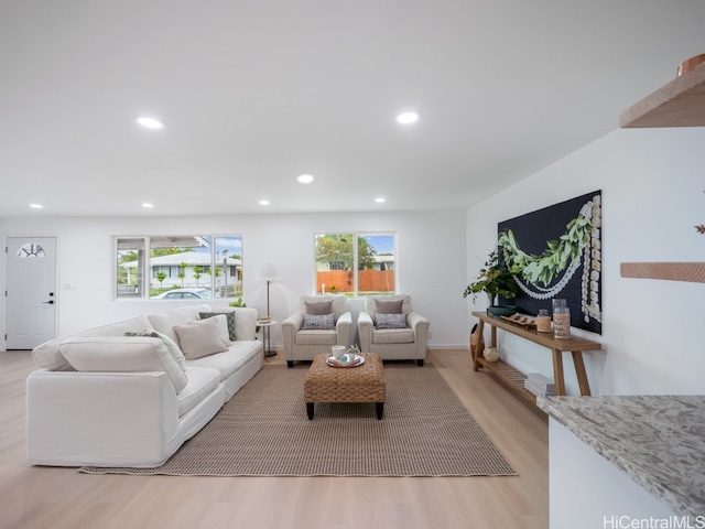 living room with light hardwood / wood-style floors