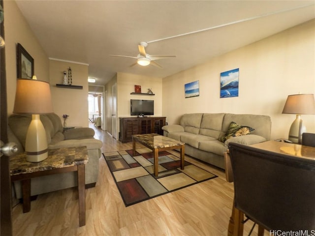 living room with ceiling fan and light wood-type flooring