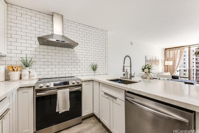 kitchen with white cabinetry, sink, wall chimney exhaust hood, and stainless steel appliances