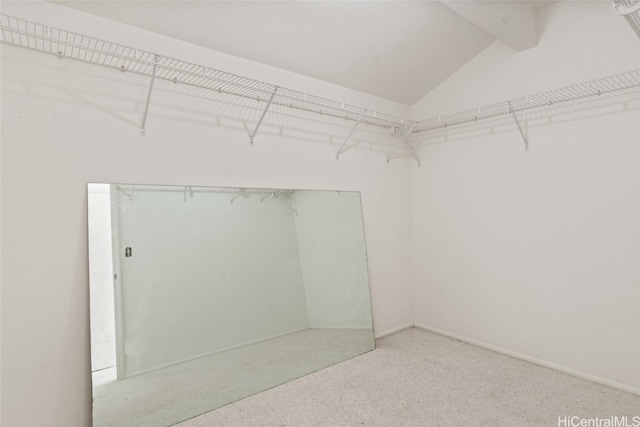 spacious closet featuring carpet floors and vaulted ceiling