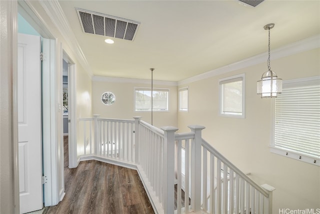 hallway featuring crown molding and dark hardwood / wood-style flooring