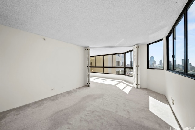 carpeted empty room with a textured ceiling and a wall of windows