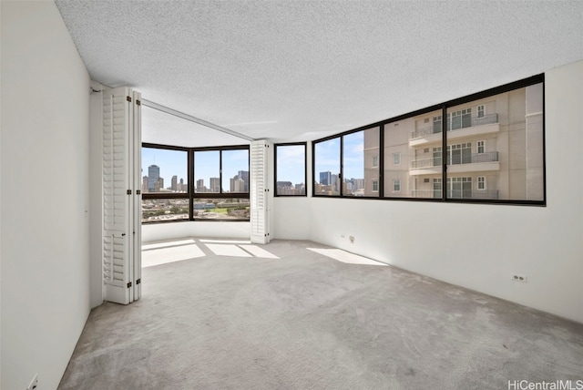 empty room featuring a wealth of natural light, light colored carpet, and a textured ceiling