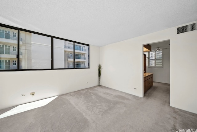 empty room featuring light carpet and a textured ceiling