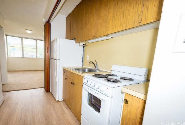 kitchen featuring light wood-type flooring, white appliances, light countertops, and a sink