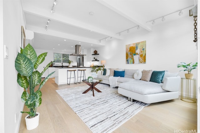 living room with track lighting and light hardwood / wood-style flooring