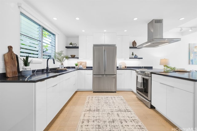 kitchen with white cabinets, ventilation hood, stainless steel appliances, and sink