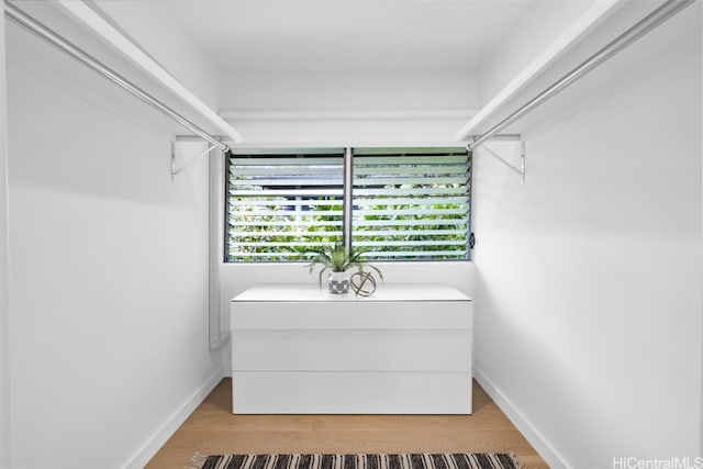 walk in closet featuring wood-type flooring