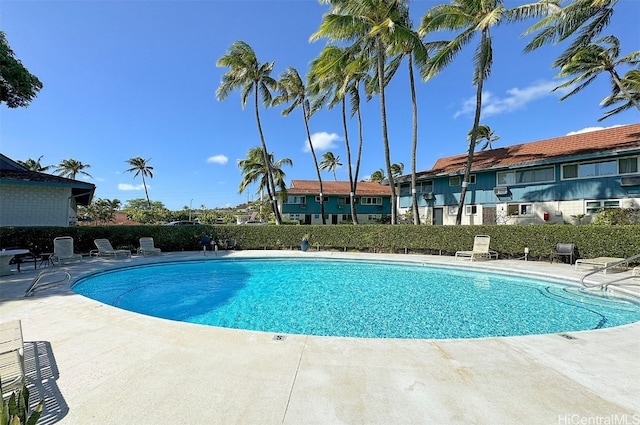 view of pool with a patio area