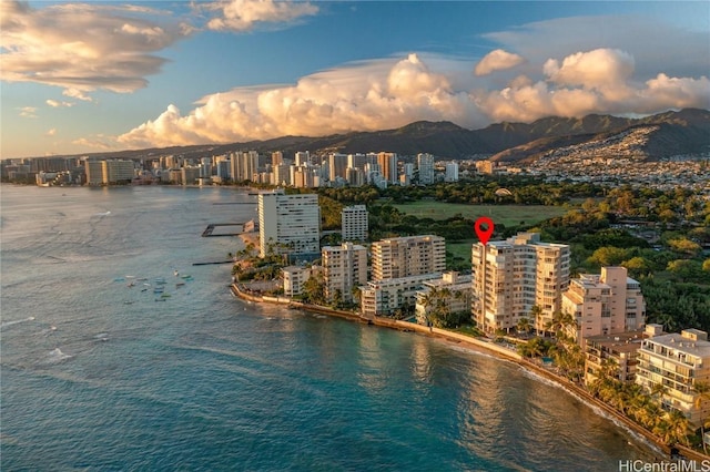 drone / aerial view featuring a water view and a city view