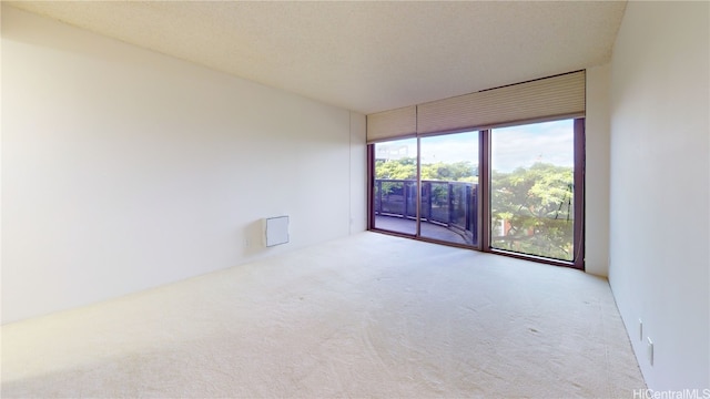 spare room with carpet flooring and a textured ceiling