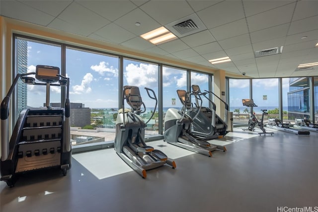 workout area with a paneled ceiling and floor to ceiling windows