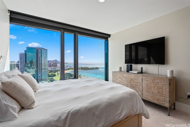 carpeted bedroom with floor to ceiling windows