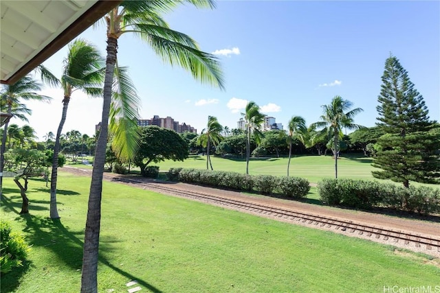 view of community featuring a yard