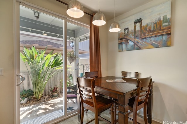 dining space with hardwood / wood-style floors and a wealth of natural light