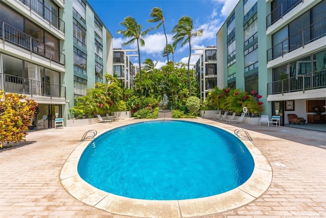 view of pool featuring a patio