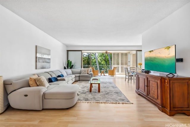 living room featuring light hardwood / wood-style floors