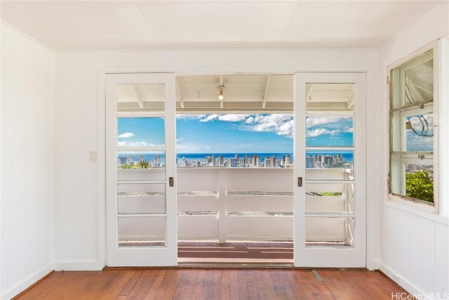 doorway to outside featuring a wealth of natural light and wood-type flooring