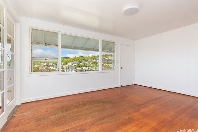 empty room featuring a wealth of natural light and wood-type flooring