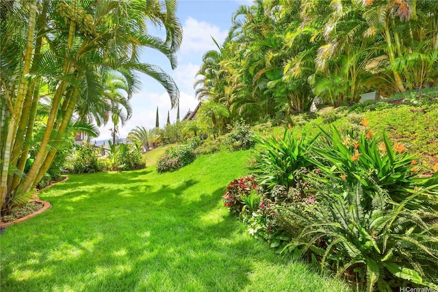 95-1044 Meapa St, Mililani, HI 96789 - view of grassy yard