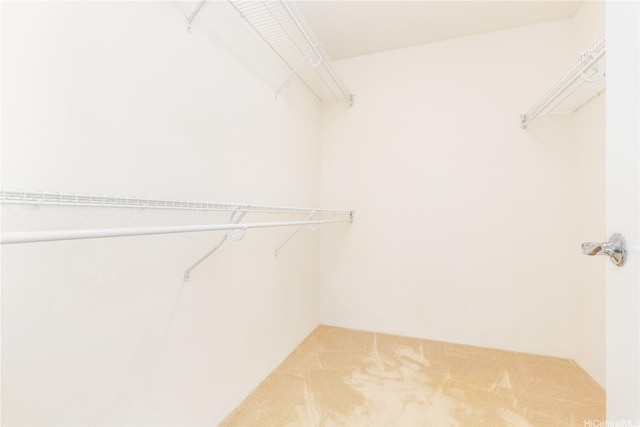 95-1044 Meapa St, Mililani, HI 96789 - spacious closet featuring carpet floors