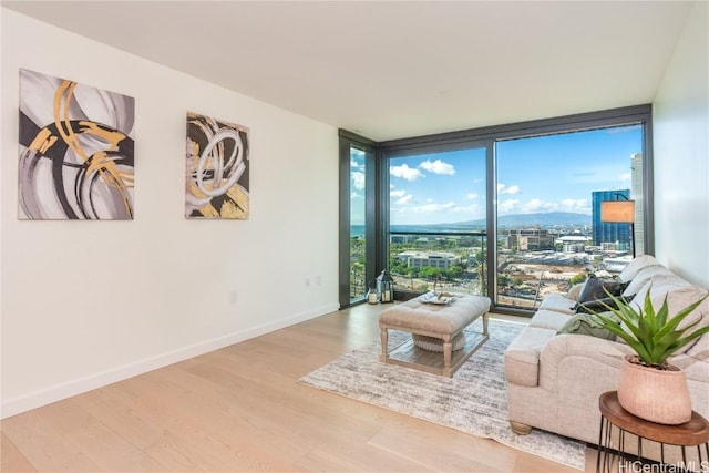 living room with a wall of windows, hardwood / wood-style floors, and a wealth of natural light