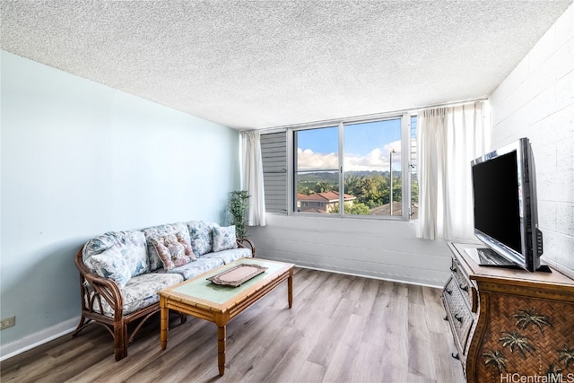 living room with a textured ceiling and light hardwood / wood-style floors