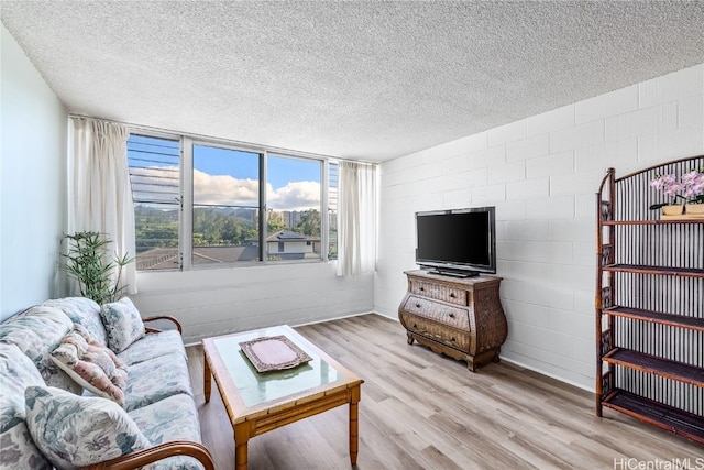 living room with light hardwood / wood-style floors and a textured ceiling