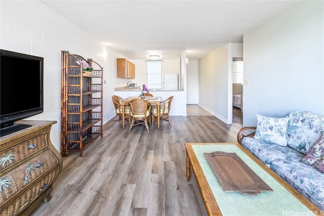 living room featuring a textured ceiling, light hardwood / wood-style floors, and plenty of natural light