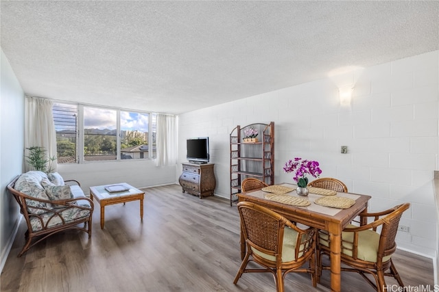 dining room featuring wood-type flooring and a textured ceiling