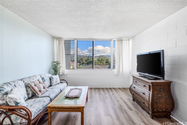 living room with a textured ceiling and light hardwood / wood-style floors