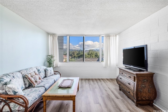 5122 Likini St Unit 302, Honolulu, HI 96818 - living room featuring light wood-style flooring, a textured ceiling, and concrete block wall