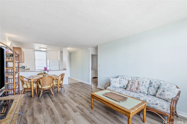 living room featuring a textured ceiling and light wood-type flooring