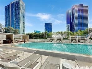 view of swimming pool featuring a patio area