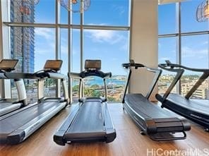 exercise room featuring floor to ceiling windows and wood-type flooring