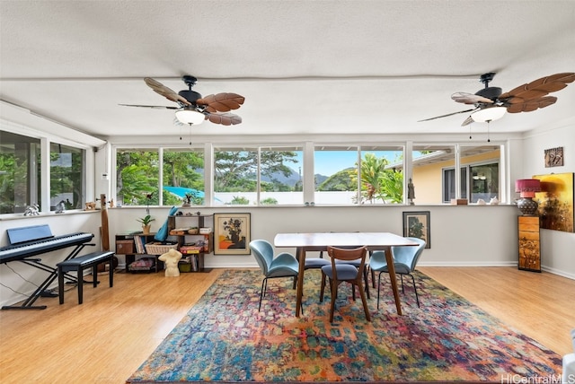 sunroom / solarium featuring ceiling fan and a healthy amount of sunlight