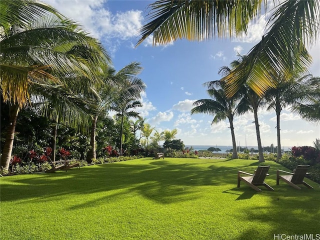 view of home's community featuring a yard