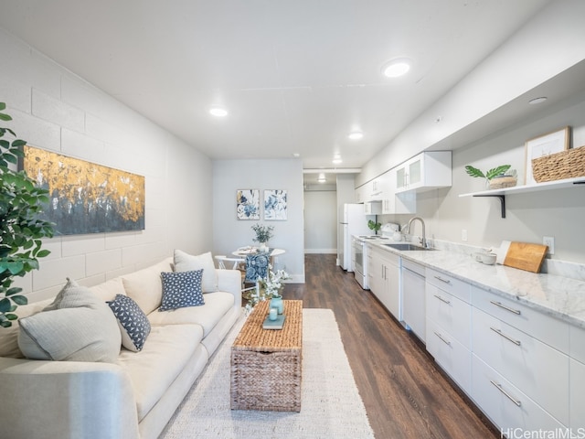 living room featuring dark wood-type flooring and sink