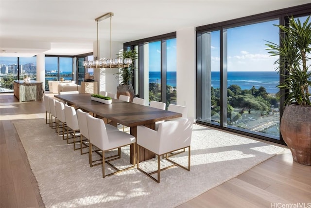 dining space with floor to ceiling windows, light hardwood / wood-style flooring, and a water view