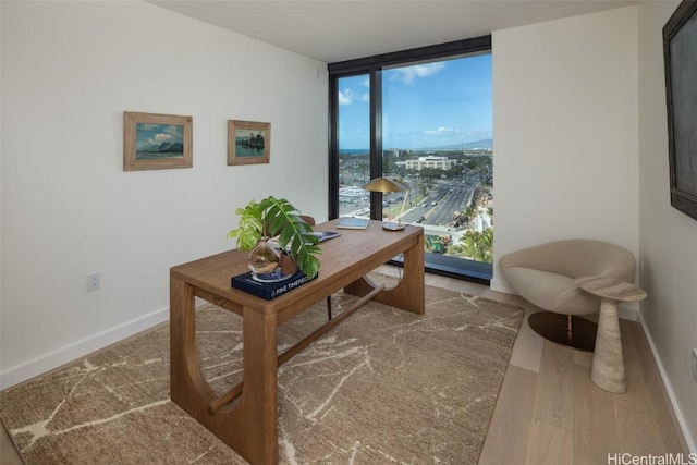 office area featuring a wealth of natural light, hardwood / wood-style floors, and expansive windows