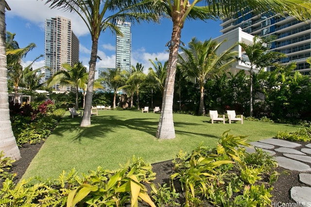 view of community featuring a lawn