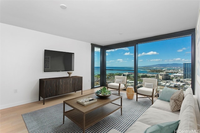 living room featuring expansive windows and light wood-type flooring