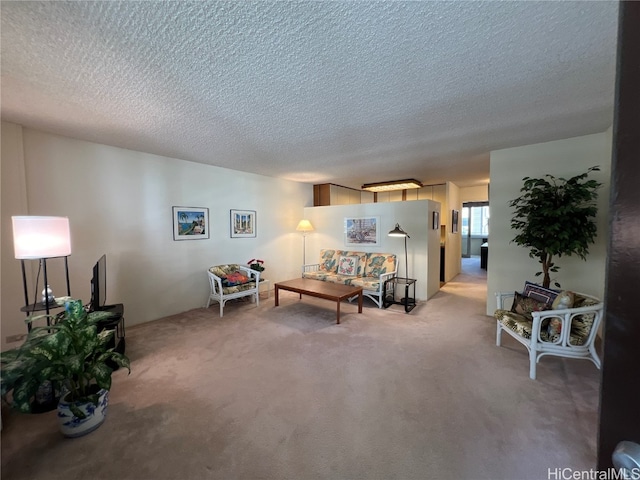 living room featuring carpet floors and a textured ceiling