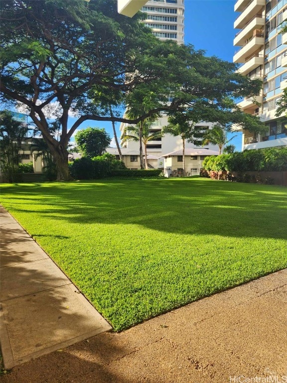 view of community with a yard