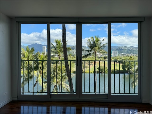 entryway featuring a water and mountain view and dark hardwood / wood-style flooring